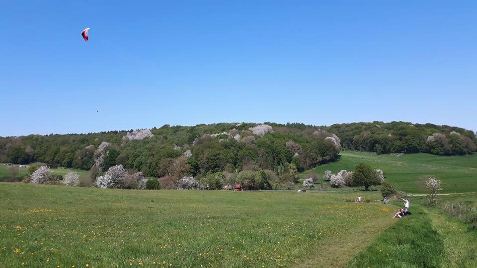 Fleurie De Montagne Mechelen